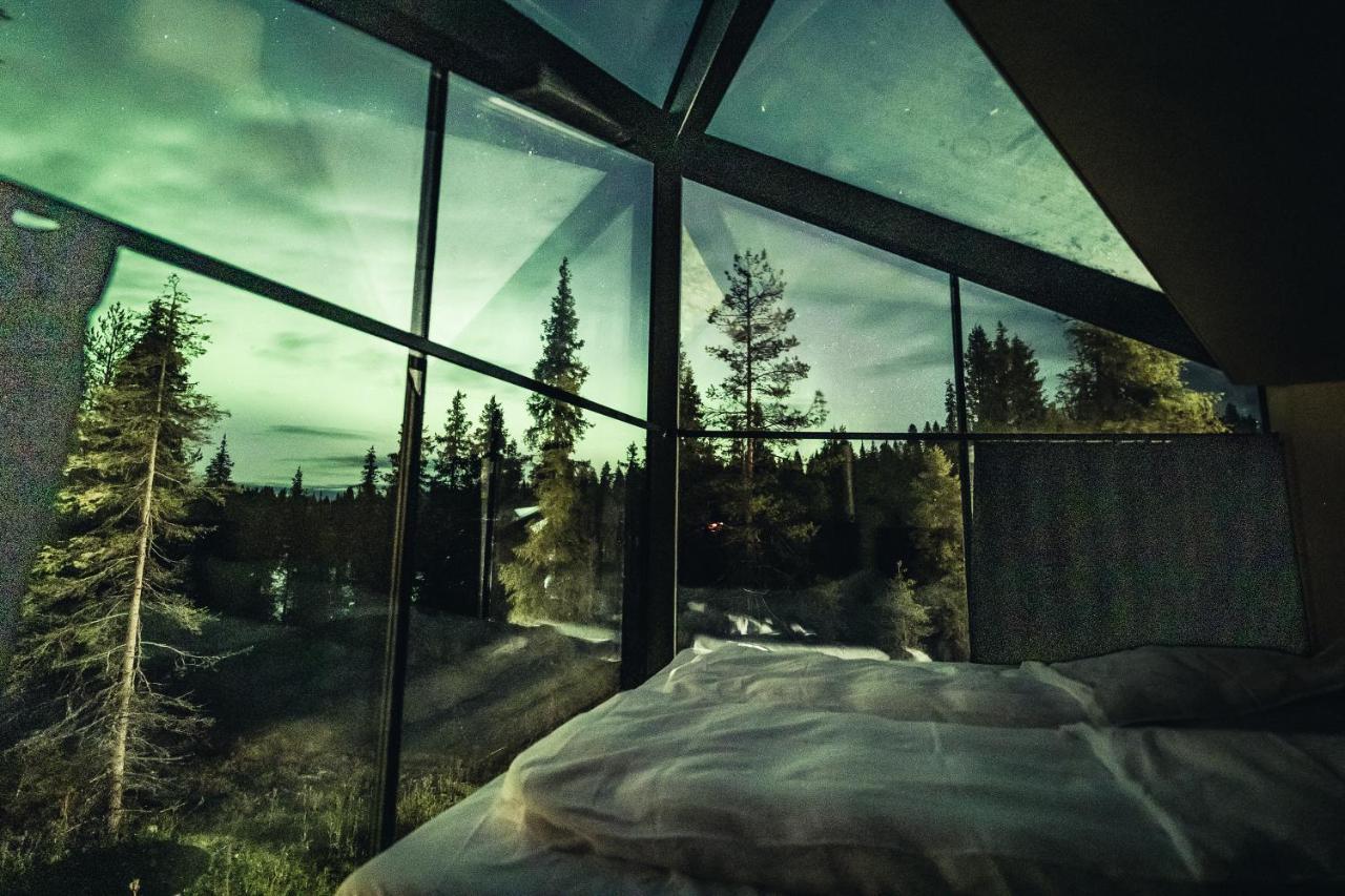 Magical Pond Nature Igloos รูกา ภายนอก รูปภาพ