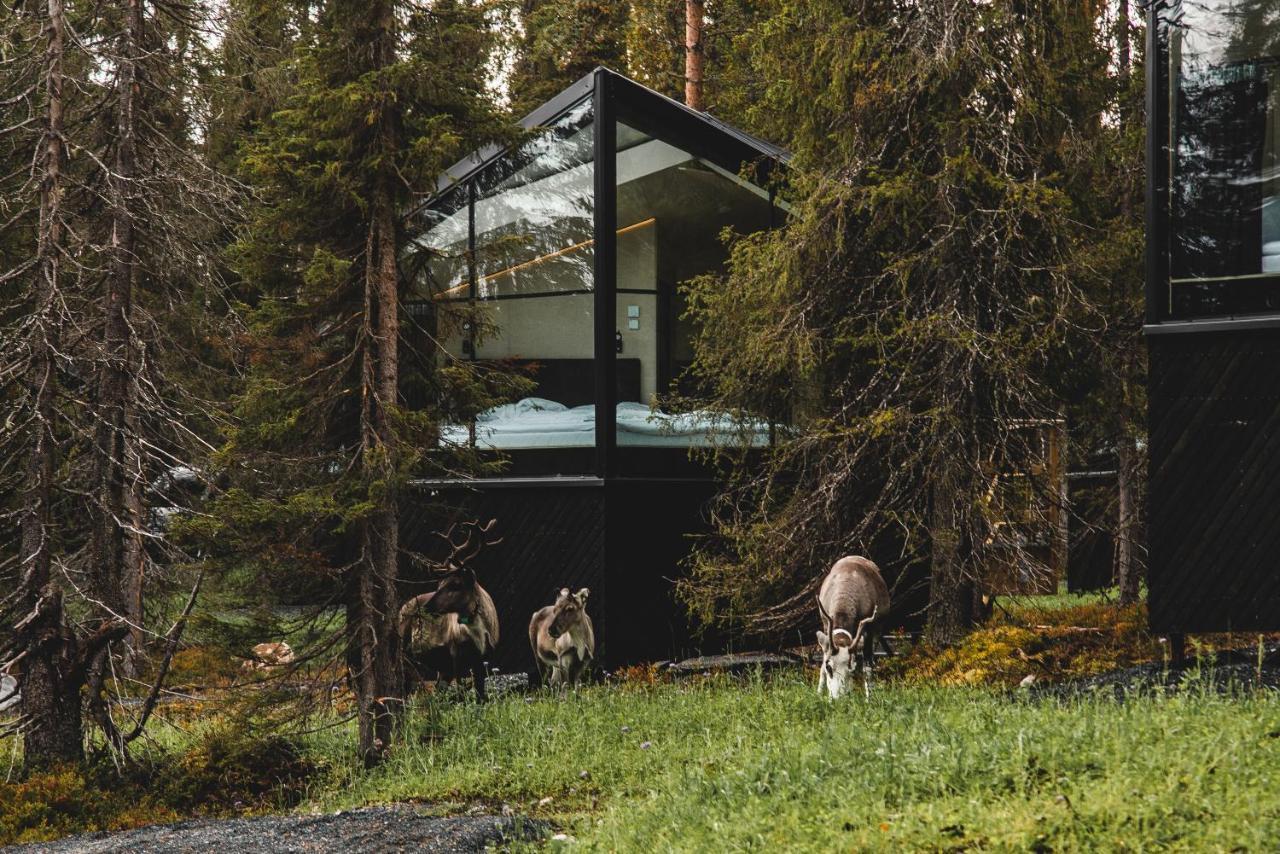 Magical Pond Nature Igloos รูกา ภายนอก รูปภาพ