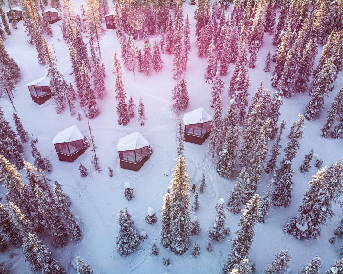 Magical Pond Nature Igloos รูกา ภายนอก รูปภาพ